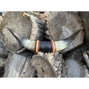 Steer Bull Horns Cowboy Horns Longhorn Measure 19 1/4 Inches Long Tip To Tip
